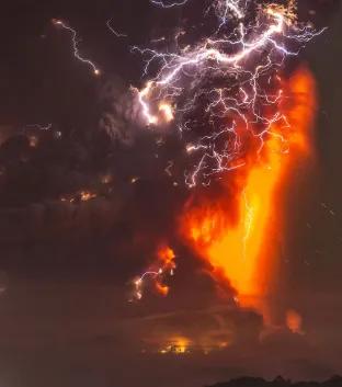 99%的人都不知道的30个动物冷知识,100个不为人知道的冷知识