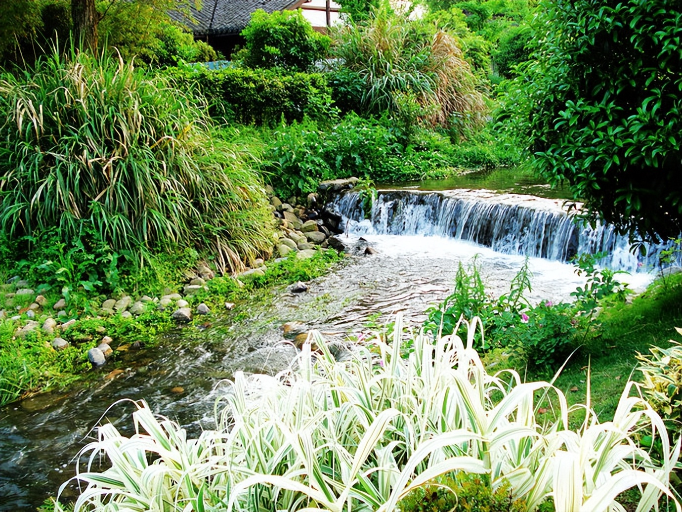 慢游放松体验,杭州慢时光游玩攻略