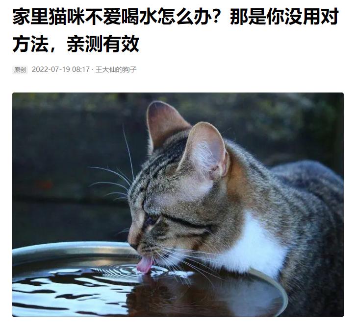导致猫咪尿血的原因,猫咪尿血粉红色是什么原因