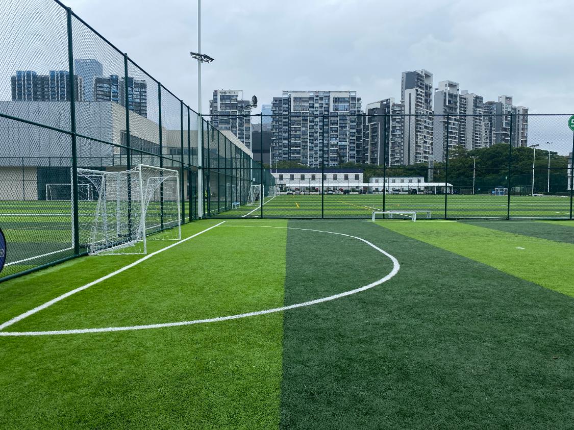 深圳湾体育中心足球训练场,深圳足球场体育馆