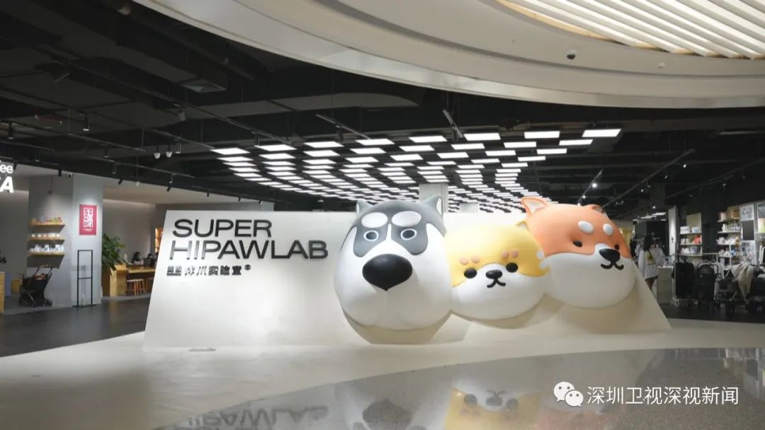 掘金“它”经济，深圳90后女孩“闯荡”宠物经济赛道|先行故事汇