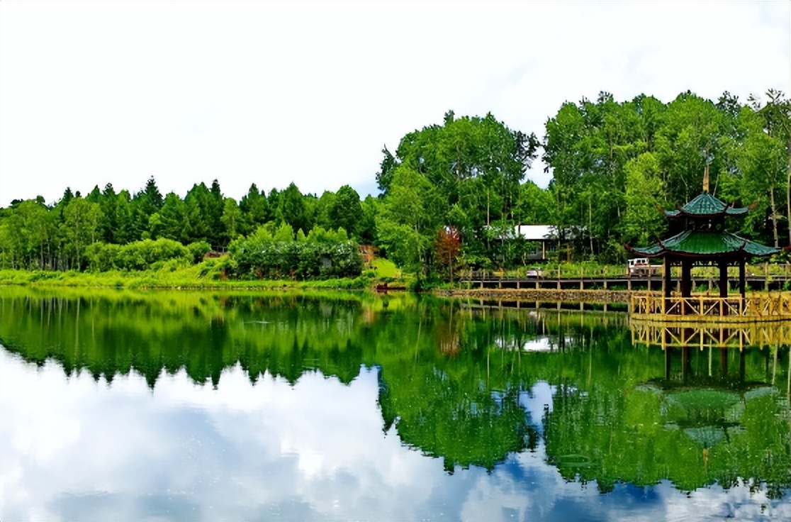 吉林白山九中毕业旅行,毕业旅行就去云南