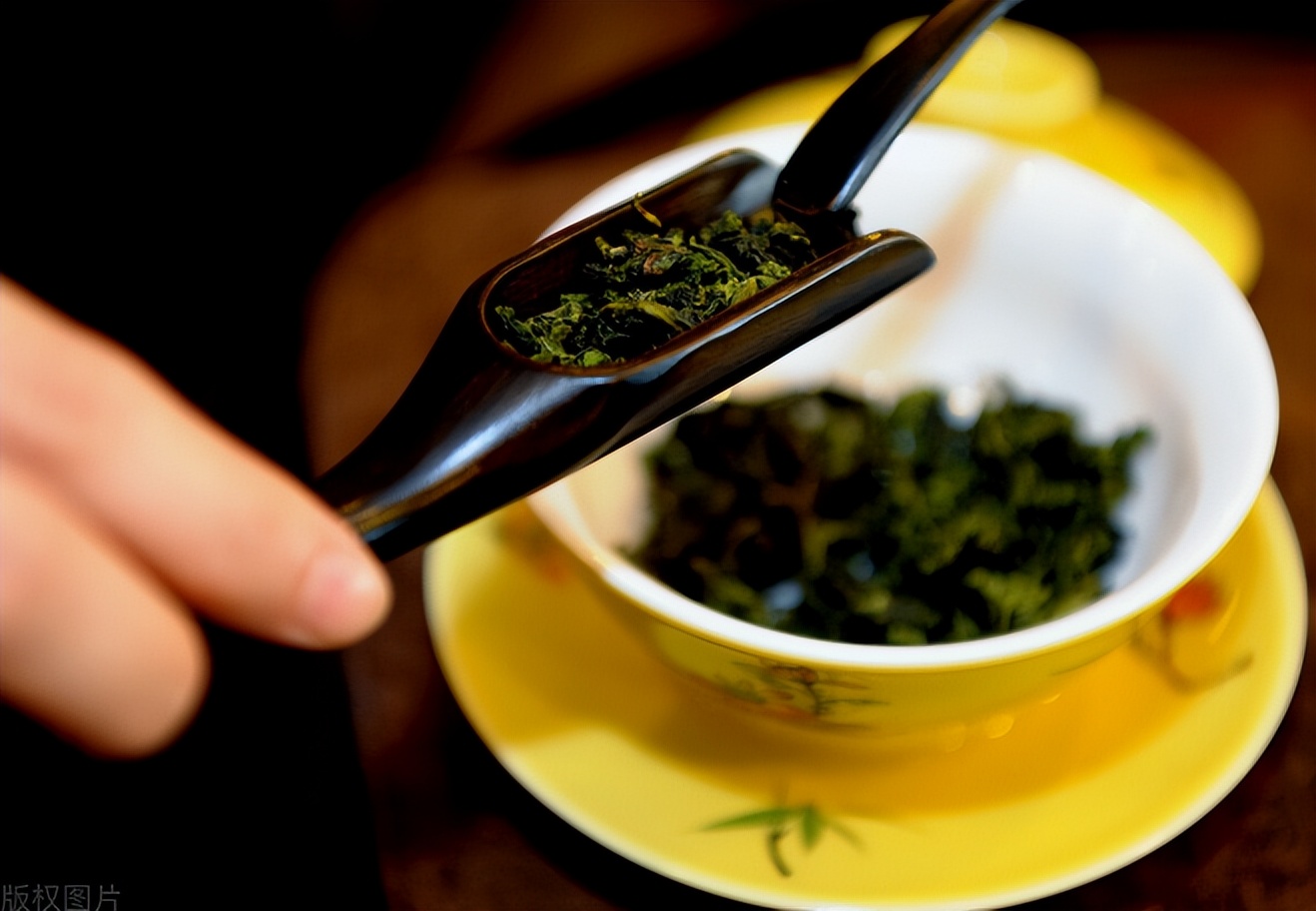 茶艺师怎么泡好茶,泡好一壶茶需要掌握茶艺的几要素