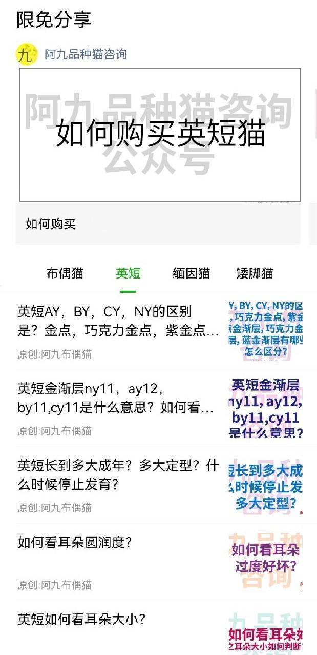 英短幼猫什么样的嘴型好,英短鼻子黑色和粉色有什么区别