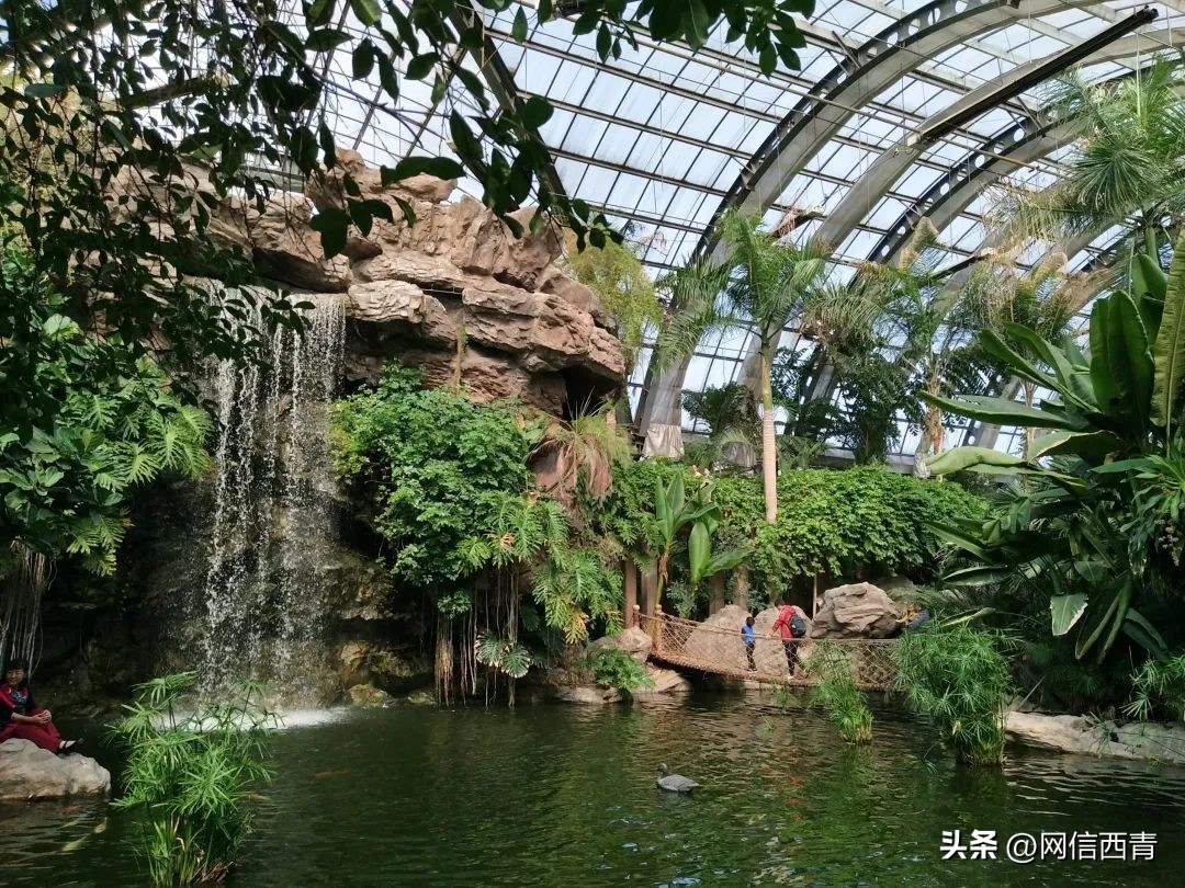 对天津籍免票半价的景区,优待证在天津哪些景区免门票