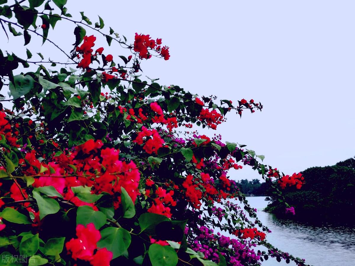 夏天来了带你感受迷人的夏日风光,夏天带你感受迷人的夏日风光