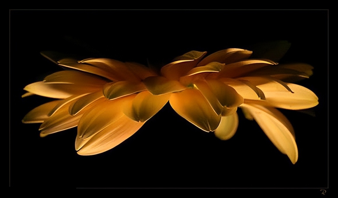 比起炫富，人们更喜欢炫贫。中美文化大不同