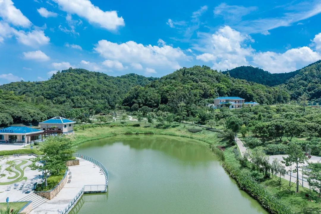 趣宝安旅游攻略,深圳宝安吃玩旅游攻略