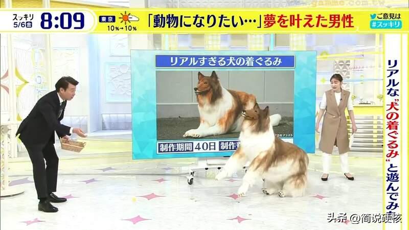 日本男子花200万变狗还会说话吗,日本男子花200万变狗后能说话吗