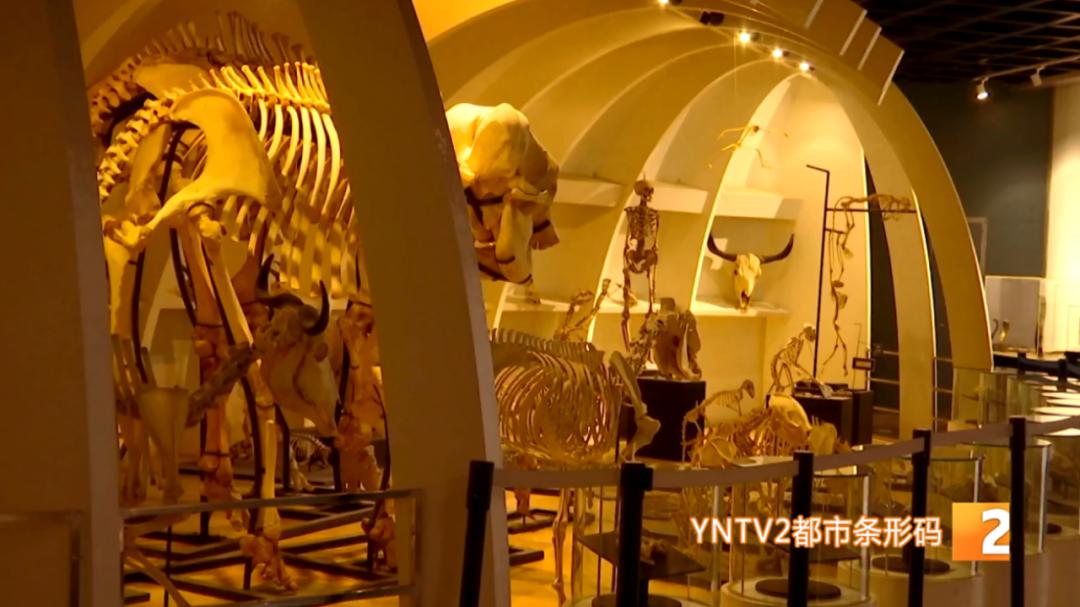 五一博物馆旅游攻略,奇妙之旅五一去哪儿