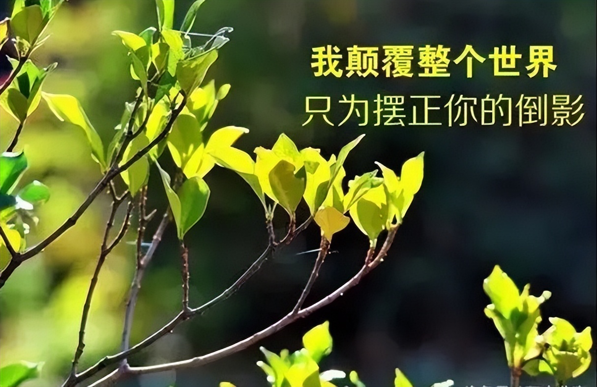 早安语录简短精辟带图,2018早安心语励志简短语录图片