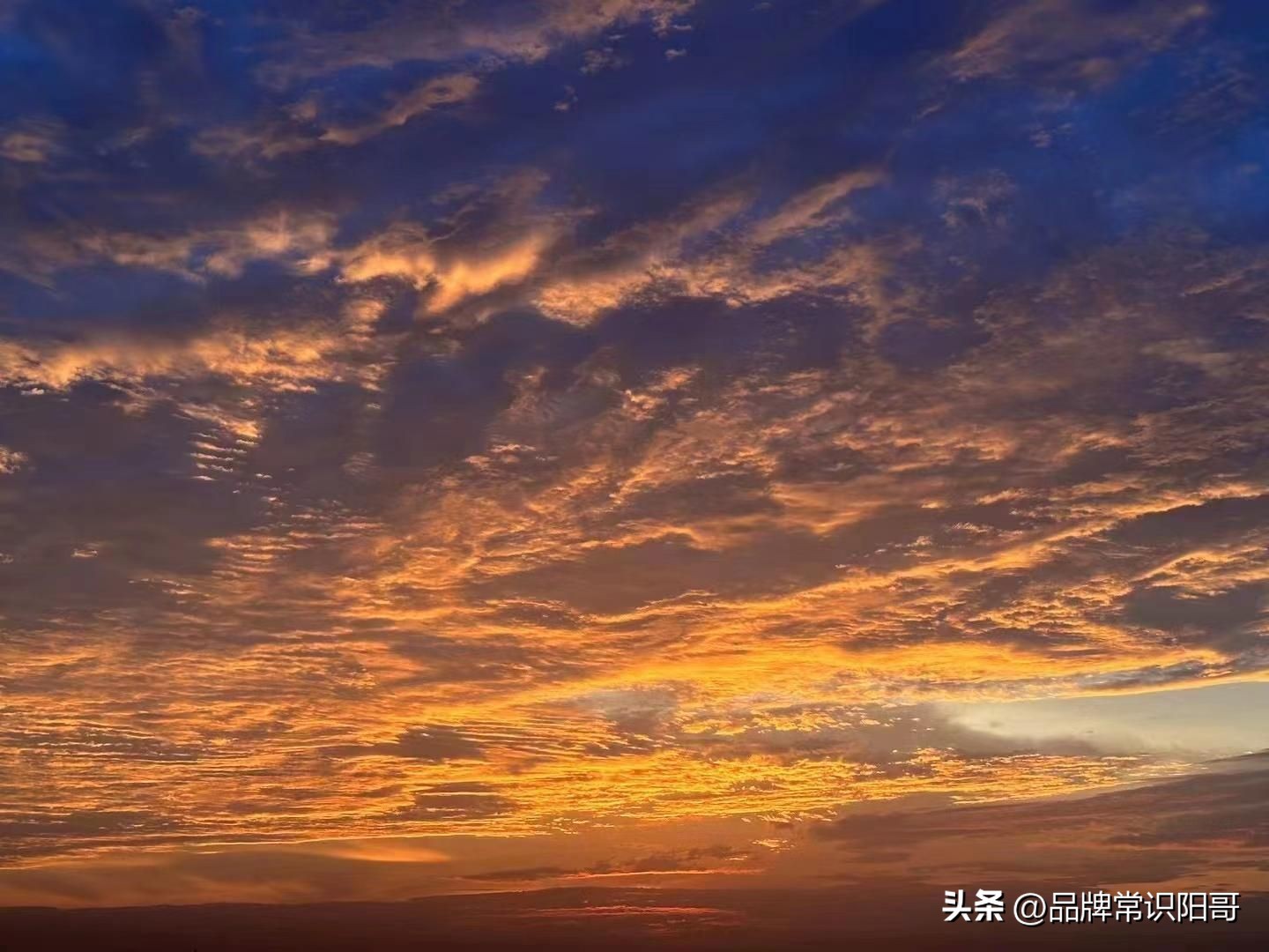 品牌的优势和定位,品牌的重要性怎么塑造出来