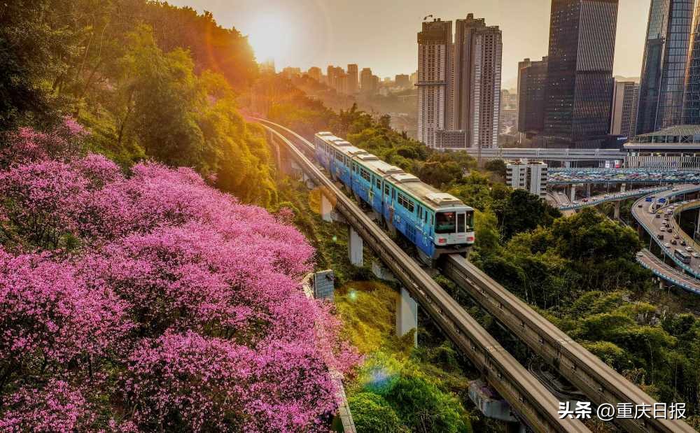 生力军建设视频,生力军和先锋队