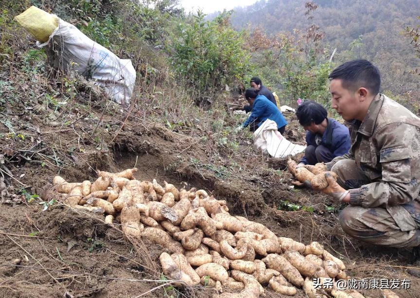 【身边榜样】（第4期）——三河坝镇县政协委员郭睿：乡村振兴路上的产业致富带头人