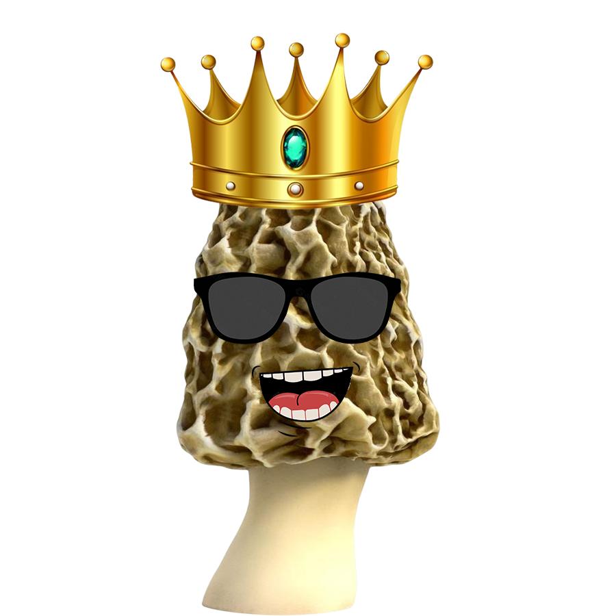 菌中贵族,投入一万赚了两万实际赚多少