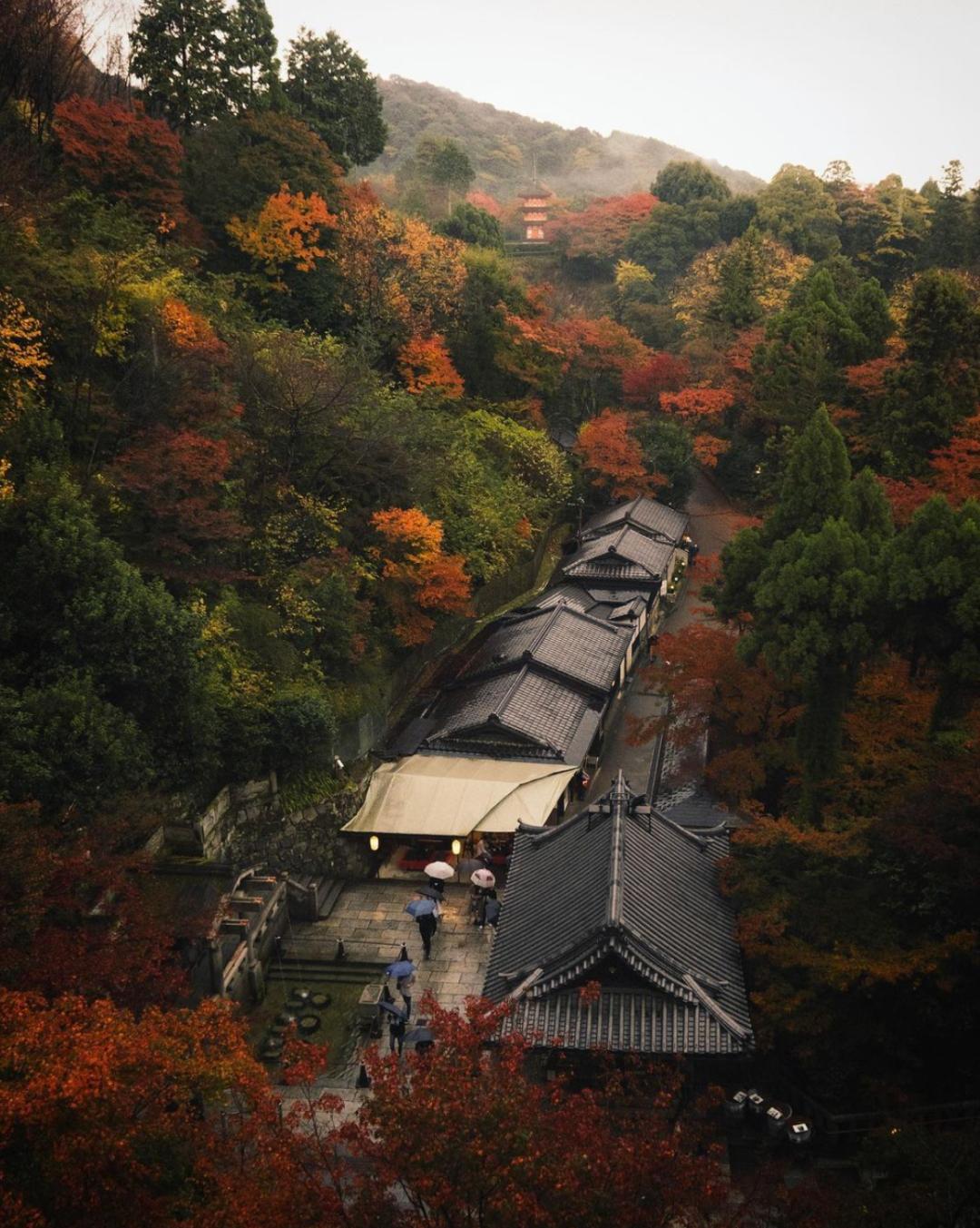 日本御守可以买吗,代购日本御守可以购买吗