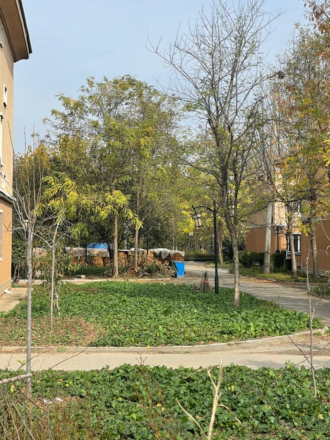 环渤海湾骑行记,环山东骑行日记青岛平度市