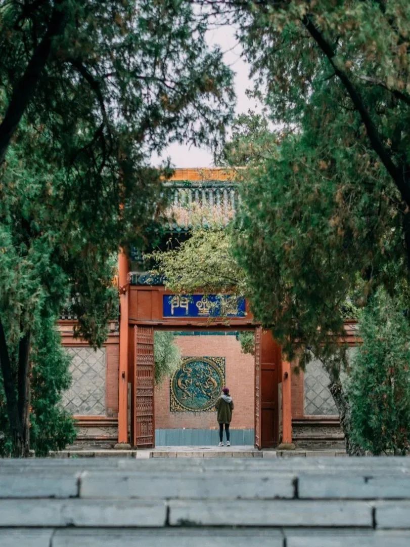 如何推动迎泽高质量发展,太原迎泽区2022年重点项目