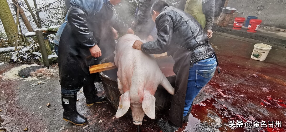 高密市刘俊忠,姜村刘俊忠