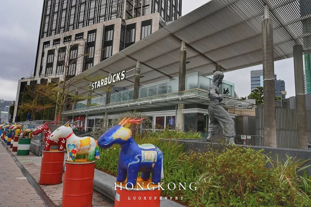 出境游第一站！与这个世界久别重逢！我发现香港真的不一样了！