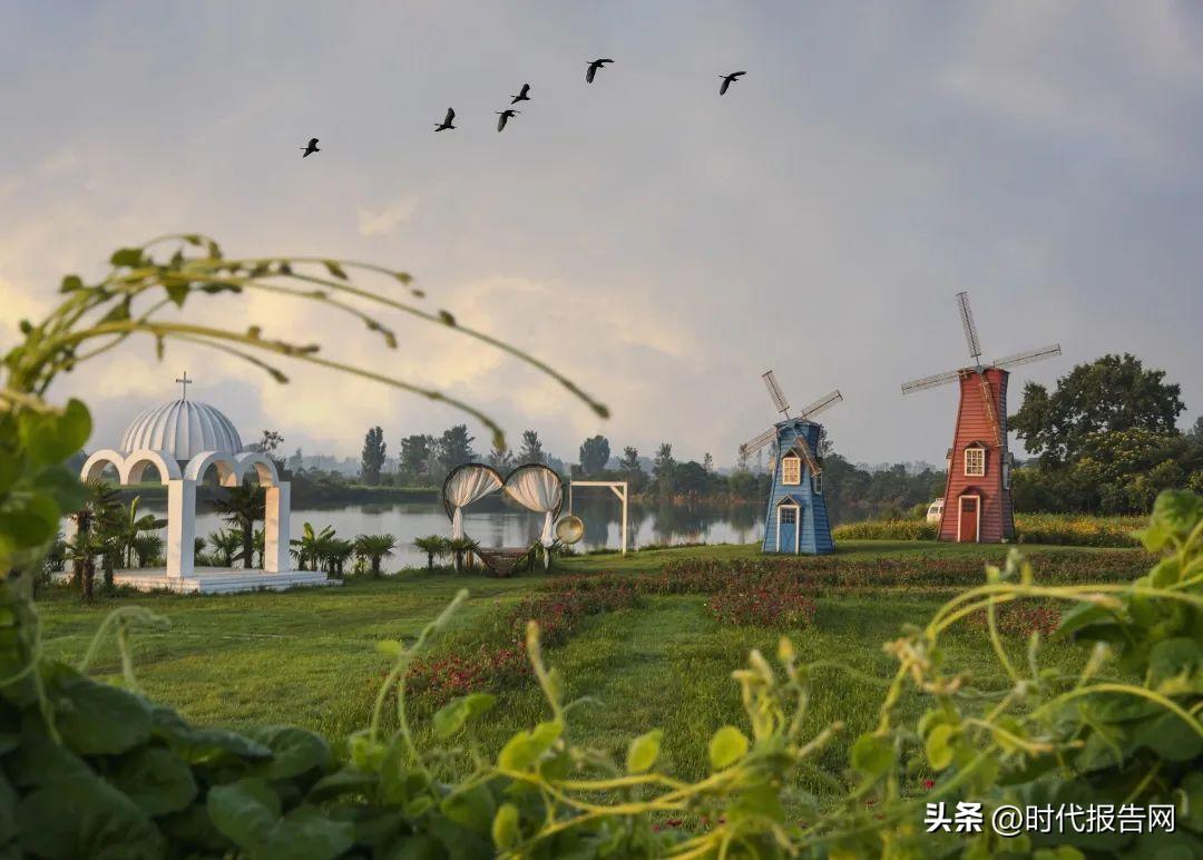 信阳三星文明户有什么奖励,信阳三星文明户代表