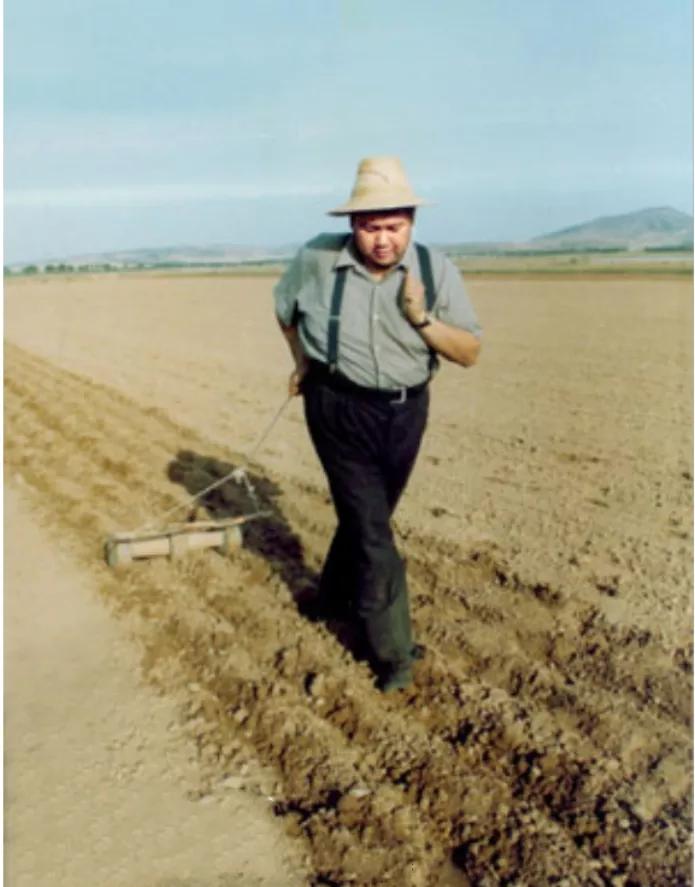 民间农村笑话大全集,乡村笑话搞笑段子