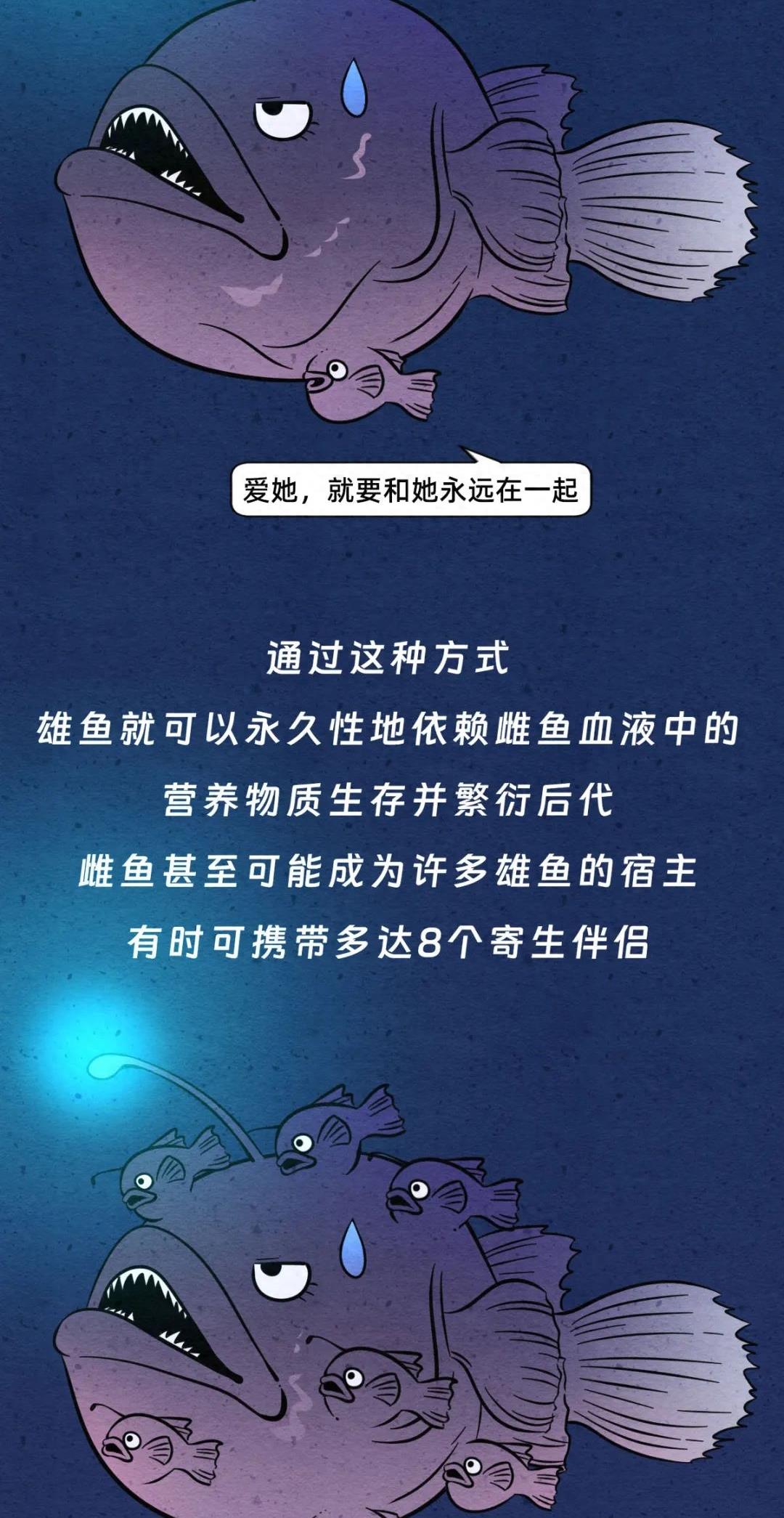 动物交配行为鉴赏，真的触碰到了我的知识盲区（漫画）