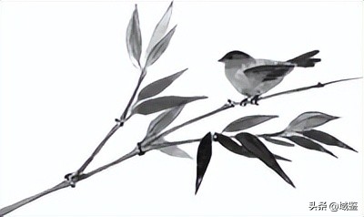 康熙官瓷十二花令杯欣赏,官窑康熙五彩十二花神杯价格