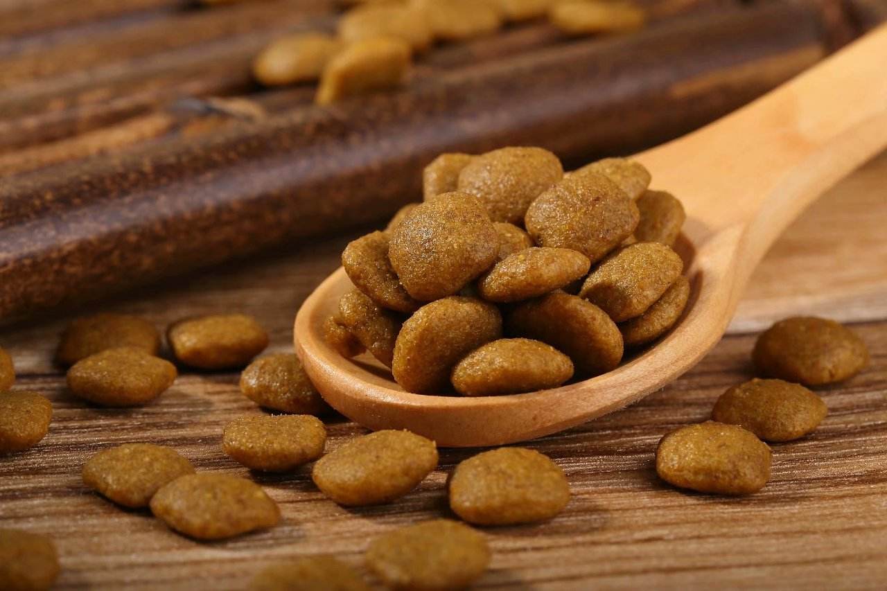 狗粮哪个品种最好,什么狗粮最好养又便宜