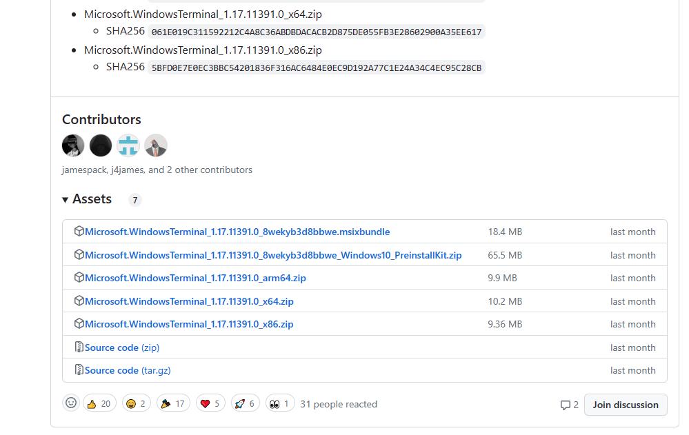震撼！WindowsTerminal终于释放exe版本了！安装方便，想用就用