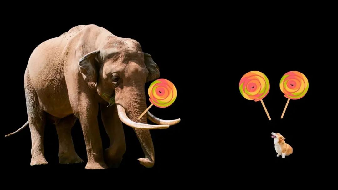 卡塔尔世界杯有多少国家参赛,卡塔尔世界杯哪个国家夺冠几率大