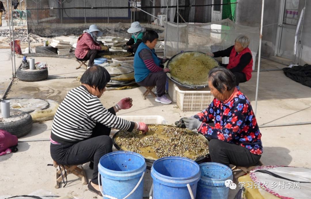 王振民的“蛭”富经