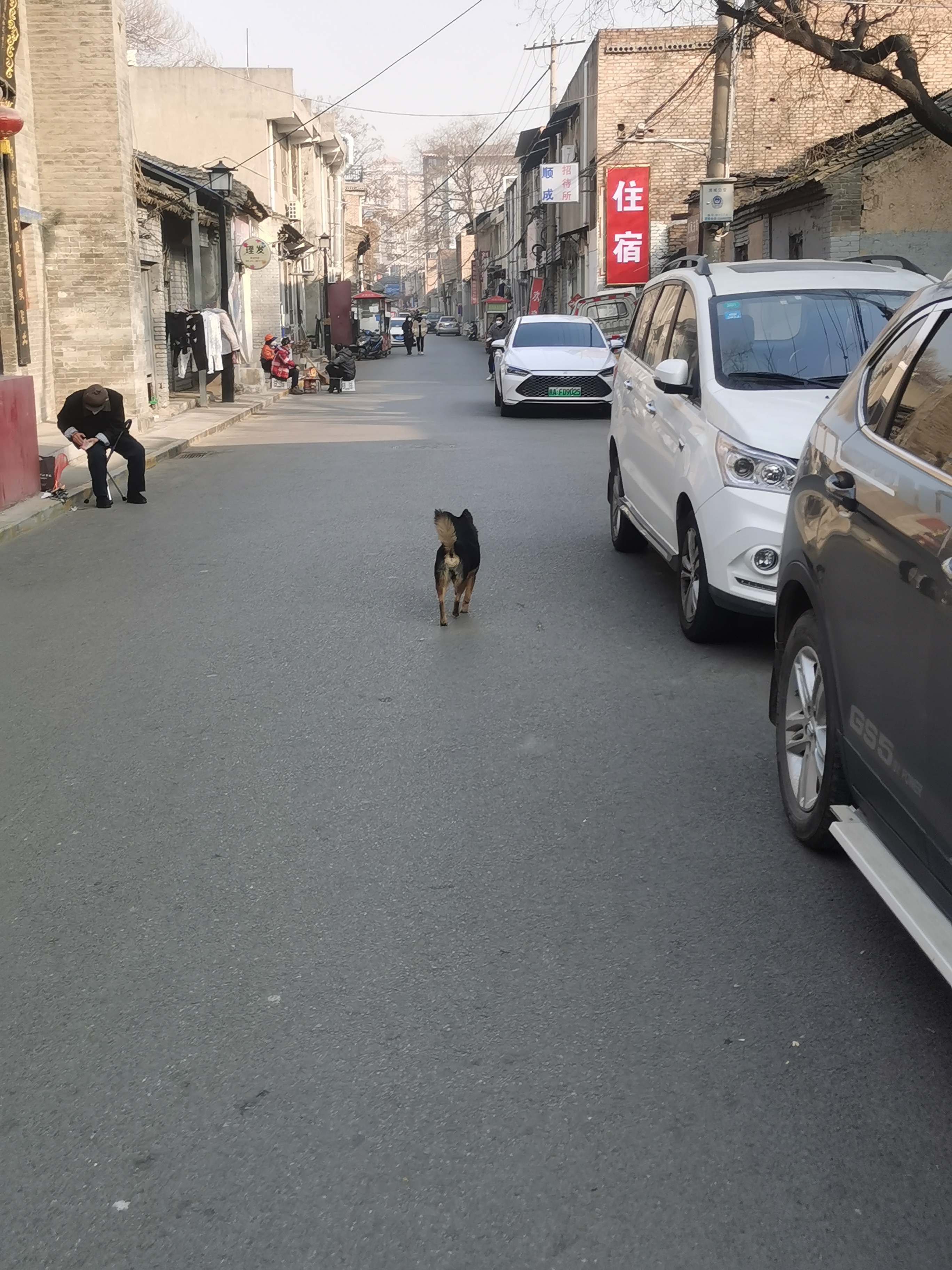 咸阳2天的短途旅游,咸阳出发三日穷游攻略