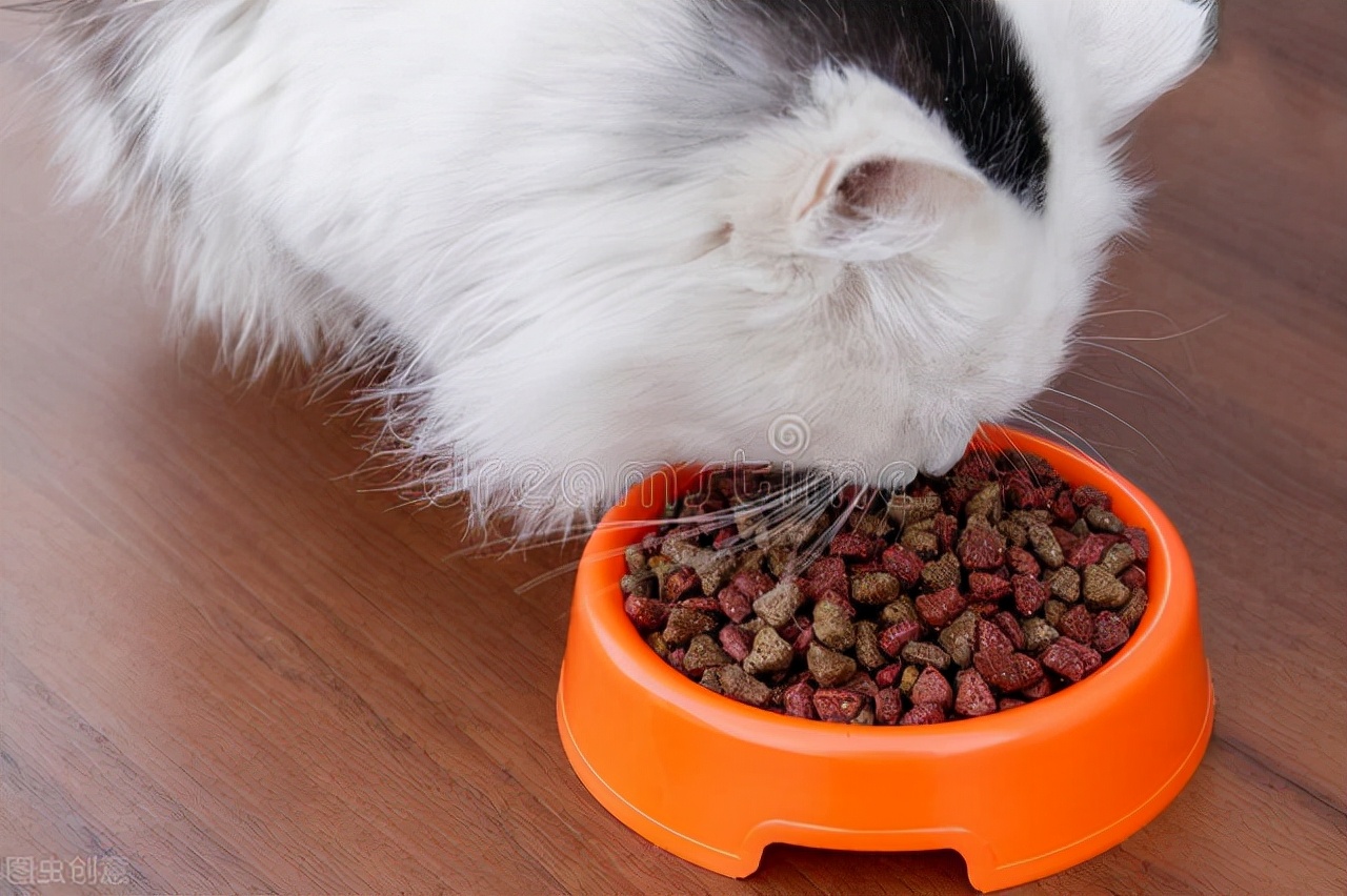 进口猫粮包装没有溯源码标签,猫粮防伪标能造假吗