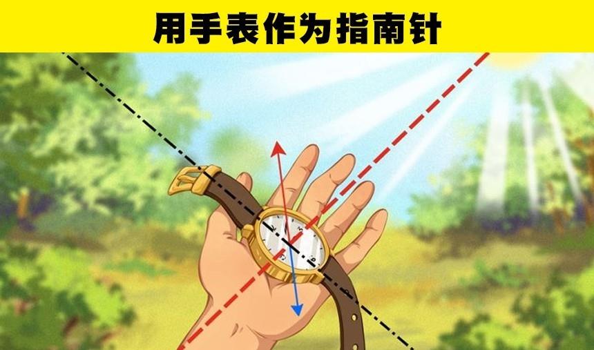 如果在野外迷了路用哪些办法求助,如果在野外迷了路有什么办法回家