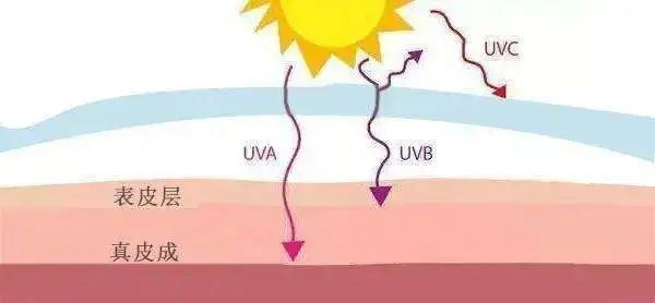 上海文峰美容美发：“阳”后护肤指南|发烧40°到底能不能敷面膜？