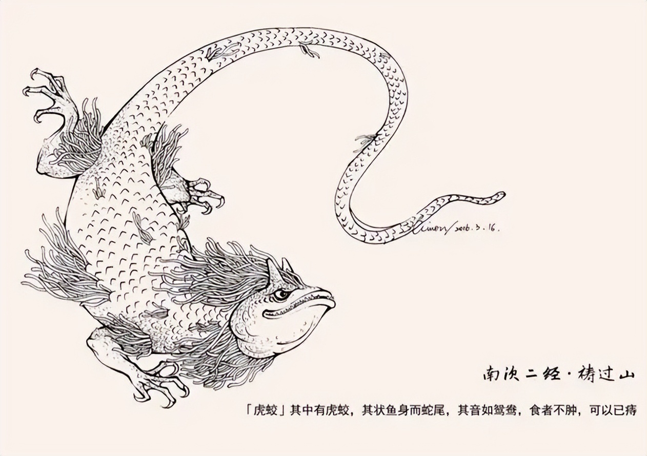 蛟龙真的存在吗,真的有蛟龙这种生物吗