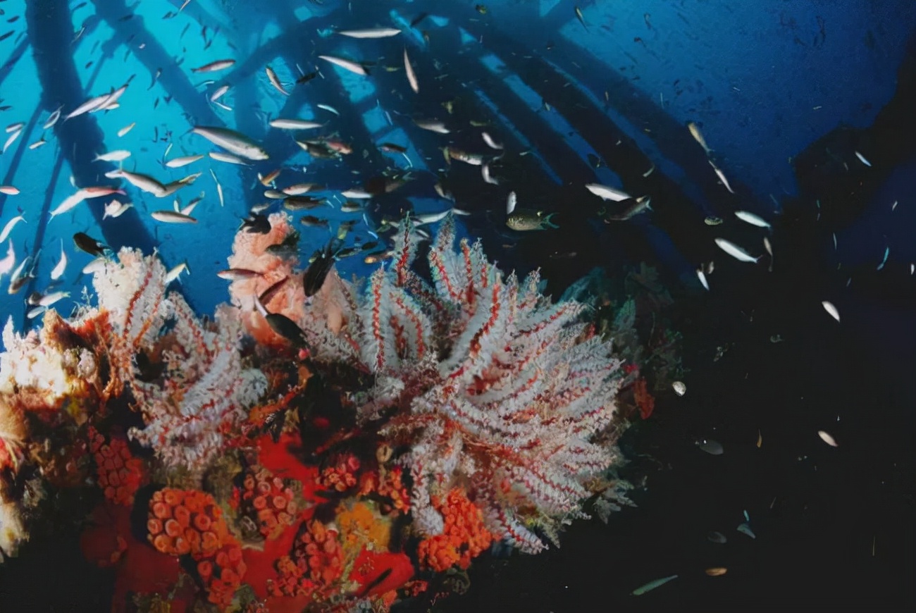 中国的东、南、西、北极在哪里吗？