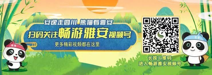 雅安著名村落,雅安市第三批传统村落