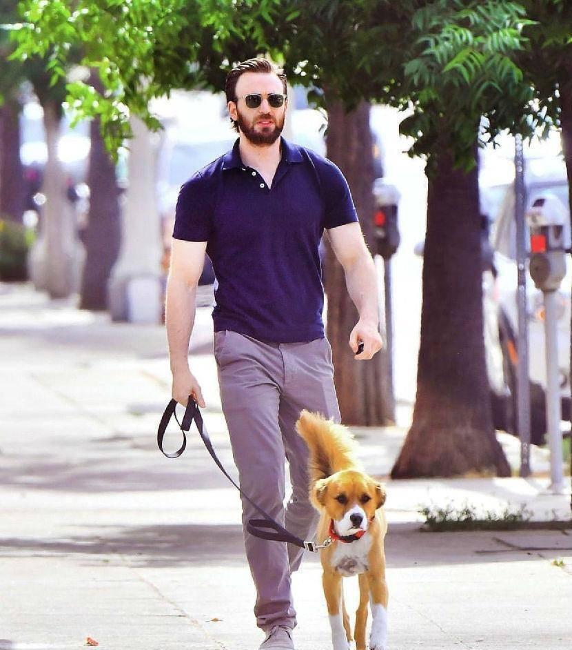 抖森当爸,抖森当爸爸了