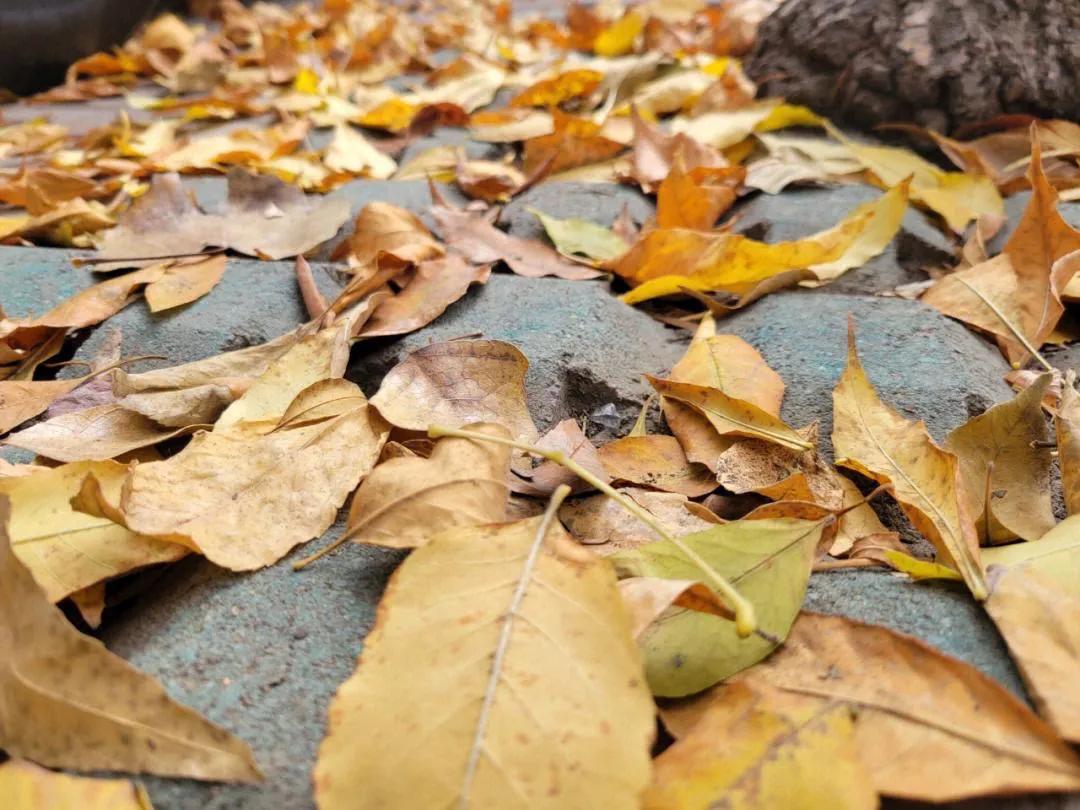 200条实用心理学小知识,实用200条心理学视频