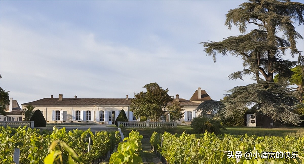 法国波尔多卡迪亚克酒庄,巴顿嘉斯蒂酒庄1725珍藏红葡萄酒