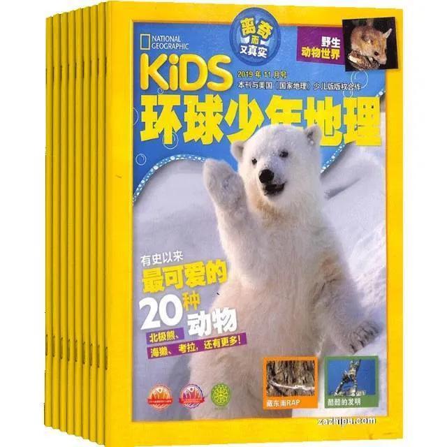 小学推荐的杂志有必要订阅吗,6岁孩子订阅什么杂志好