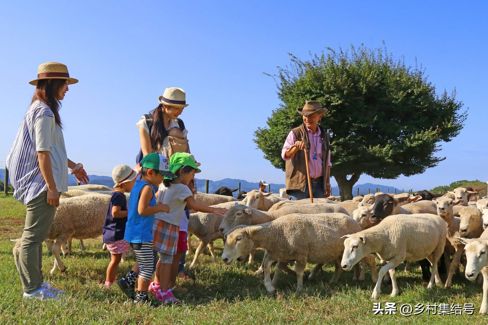 日本亲子农场主题乐园,日本妈妈牧场成功的原因