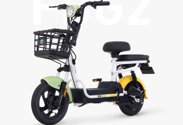 新国标电动车推荐车型,新国标电动车最新品牌车型