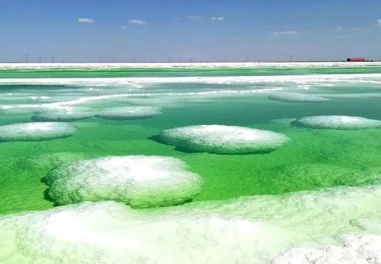 我愿和你一起奔赴理想和未来,我愿背上行囊随你去远方