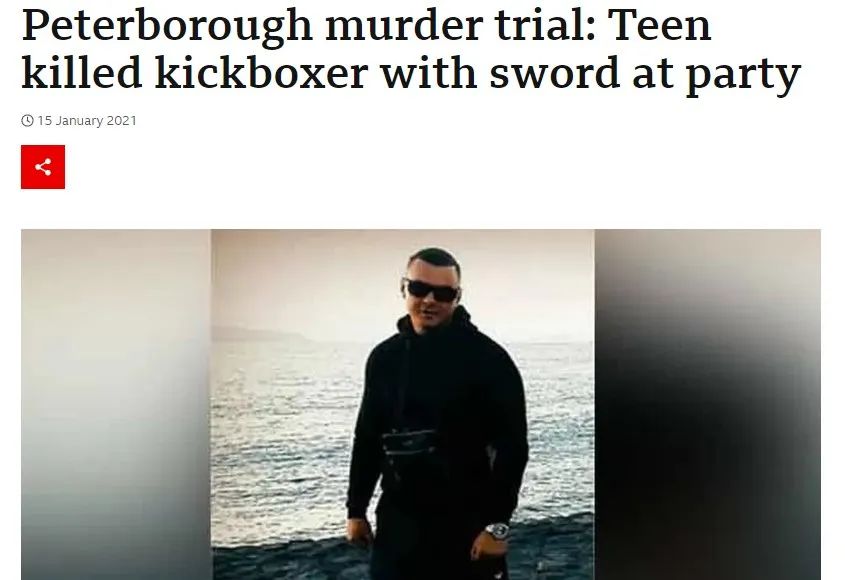 职业拳击手有没有被打死的,职业拳击手跟普通人打架