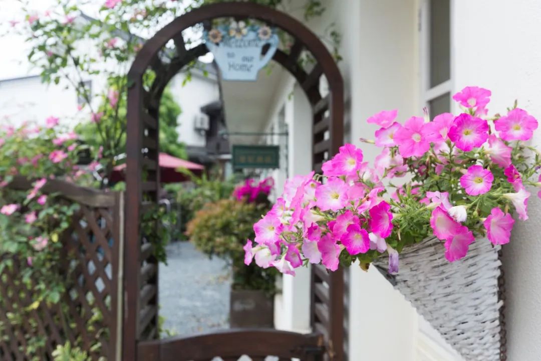 早安心语每日一语励志短句图片,早安问候语正能量努力的短句图片