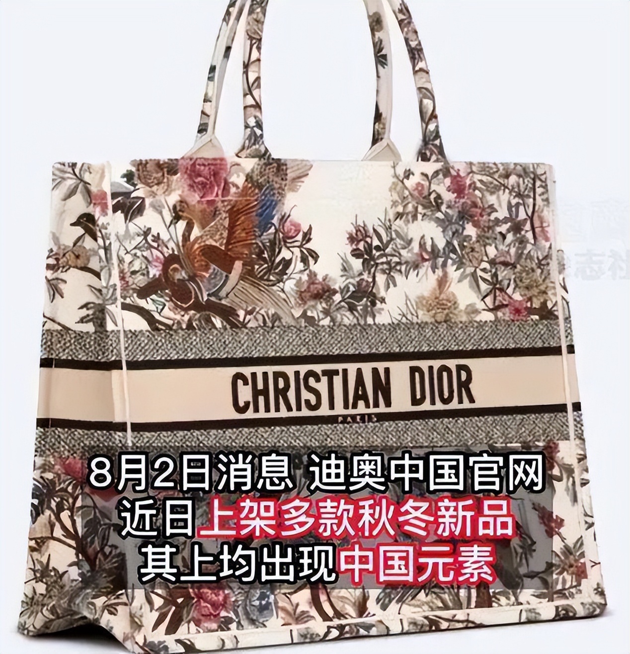 迪奥抄袭后续官司,迪奥抄袭网络舆情分析