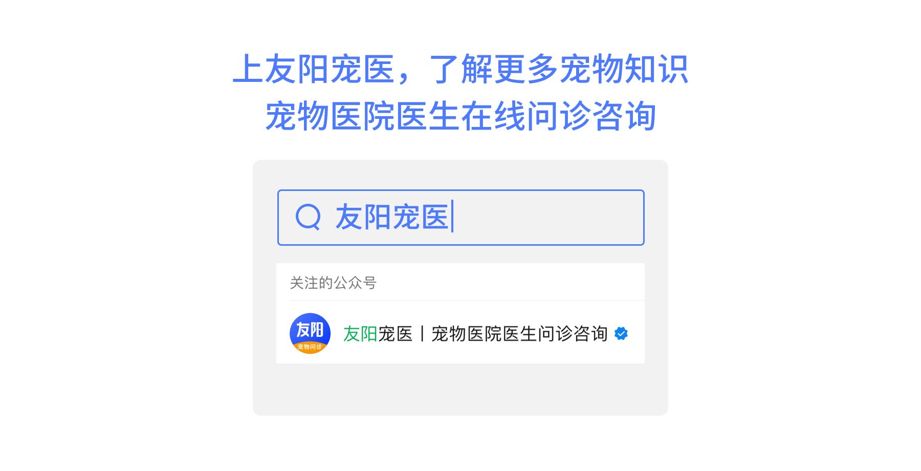 狗狗呕吐加拉稀可以吃阿莫西林吗,狗狗呕吐拉稀不吃饭没精神怎么治